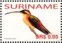 Reddish Hermit (Phaethornis ruber)